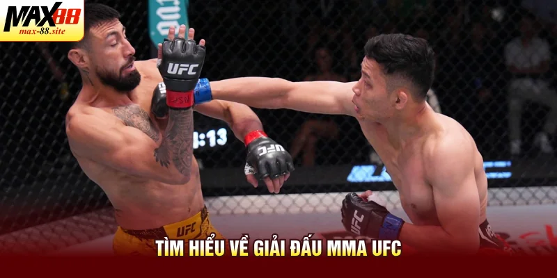 Tìm hiểu về giải đấu MMA UFC