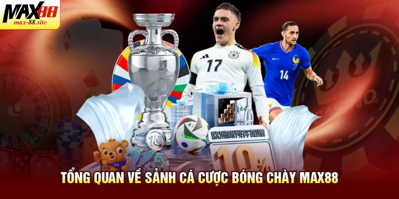 Tổng quan về sảnh cá cược bóng chày Max88